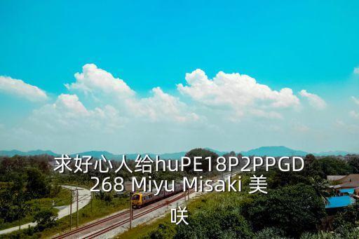 求好心人給huPE18P2PPGD268 Miyu Misaki 美咲