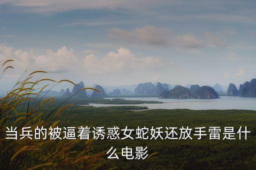 當兵的被逼著誘惑女蛇妖還放手雷是什么電影