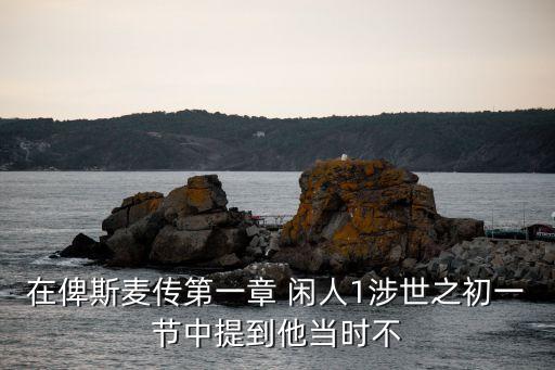 在俾斯麥傳第一章 閑人1涉世之初一節(jié)中提到他當時不