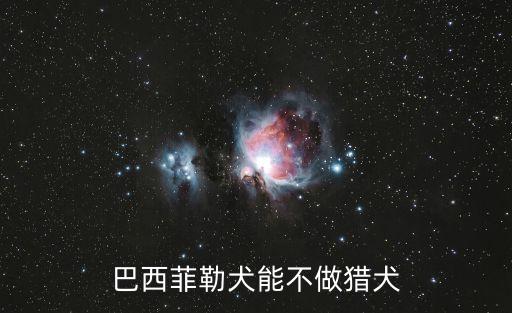 巴西菲勒犬能不做獵犬
