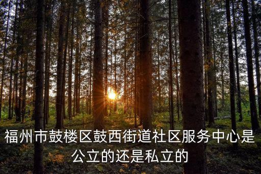 福州市鼓樓區(qū)鼓西街道社區(qū)服務(wù)中心是公立的還是私立的