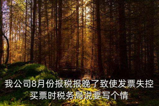 稅務(wù)情況說明，稅務(wù)要情況說明表怎么寫