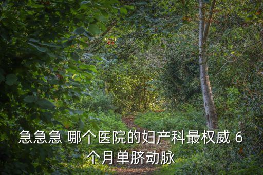 急急急 哪個醫(yī)院的婦產(chǎn)科最權(quán)威 6個月單臍動脈