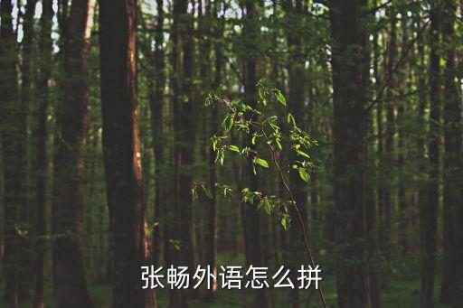 張暢，張暢這個名字多少分