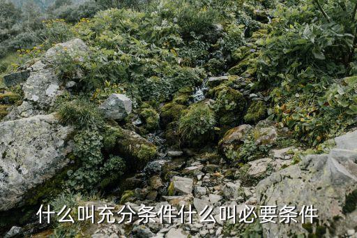 必要條件和充分條件，充要條件必要條件充分條件的定義與區(qū)別