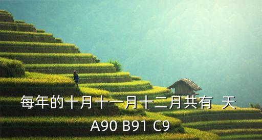 每年的十月十一月十二月共有  天 A90 B91 C9