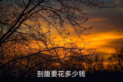 剖宮產(chǎn)手術(shù)費(fèi)用，剖腹要花多少錢