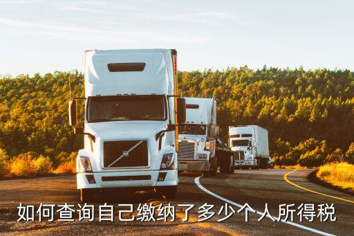 個人納稅查詢，如何查詢自己繳納了多少個人所得稅