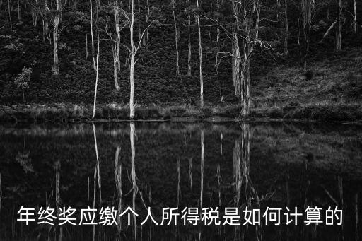 年終獎(jiǎng)個(gè)人所得稅怎么計(jì)算，年終獎(jiǎng)個(gè)人所得稅計(jì)算