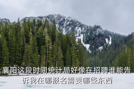 襄陽市統(tǒng)計(jì)局，襄陽信息發(fā)布網(wǎng)