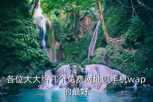 各位大大給幾個免費(fèi)網(wǎng)址唄手機(jī)wap的最好