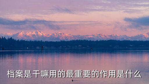檔案是干嘛用的最重要的作用是什么