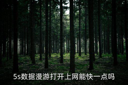 5s數(shù)據(jù)漫游打開上網(wǎng)能快一點(diǎn)嗎
