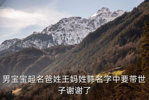 男寶寶起名爸姓王媽姓韓名字中要帶世子謝謝了