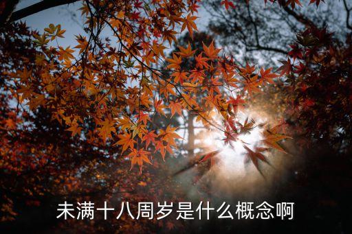 未滿(mǎn)十八周歲是什么概念啊