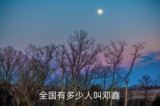 全國有多少人叫鄧鑫