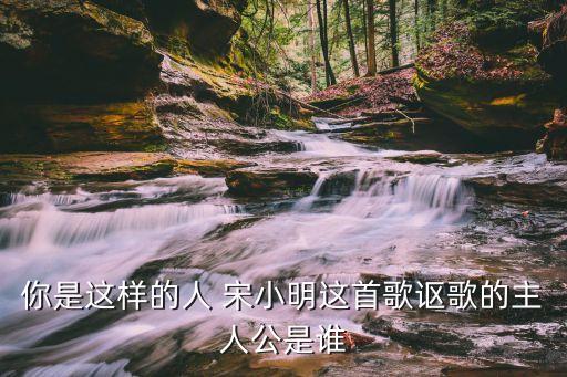 你是這樣的人 宋小明這首歌謳歌的主人公是誰(shuí)