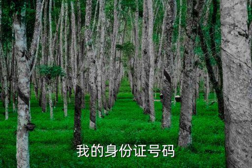 我的身份證號碼