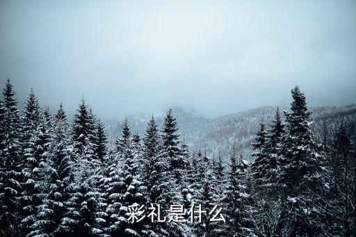 彩禮是什么