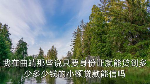我在曲靖那些說只要身份證就能貸到多少多少錢的小額貸款能信嗎