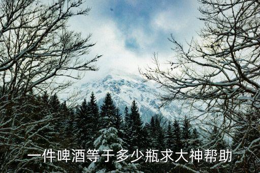 啤酒一件多少瓶，一件啤酒等于多少瓶求大神幫助