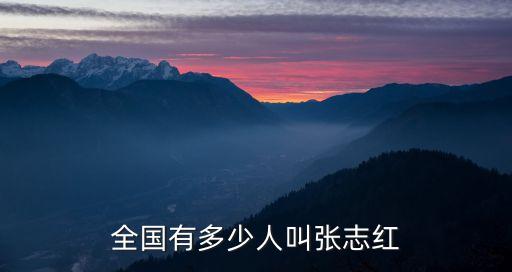 全國有多少人叫張志紅