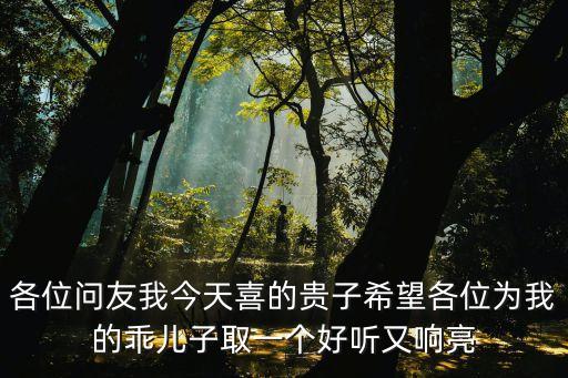 各位問友我今天喜的貴子希望各位為我的乖兒子取一個好聽又響亮