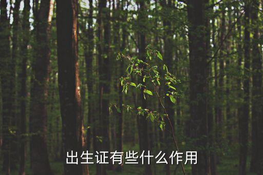 出生證有些什么作用