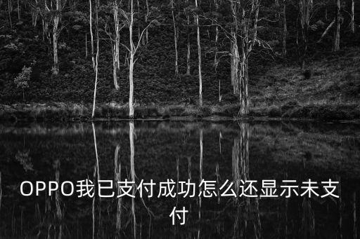 未支付，財(cái)付通手機(jī)沖值訂單中的未支付什么意思