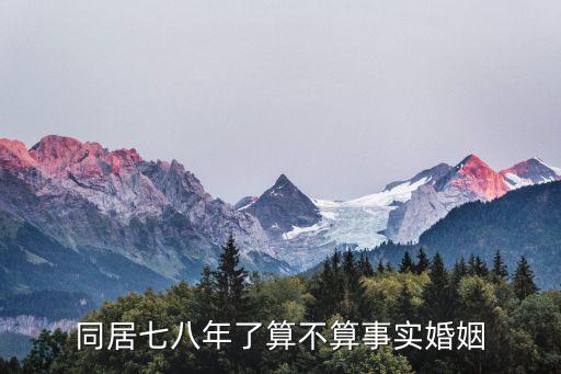 同居七八年了算不算事實婚姻