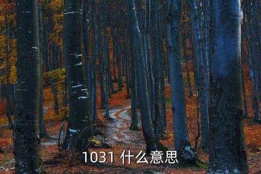 1016什么意思，111111什么意思