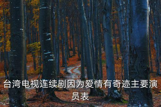 臺灣電視連續(xù)劇因為愛情有奇跡主要演員表
