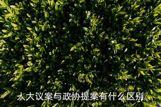 政協(xié)提案，人大議案與政協(xié)提案有什么區(qū)別