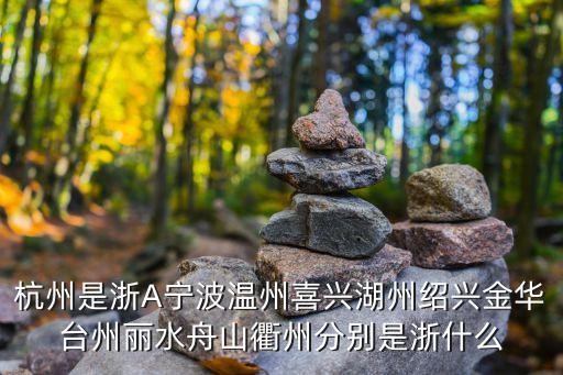 杭州是浙A寧波溫州喜興湖州紹興金華臺州麗水舟山衢州分別是浙什么