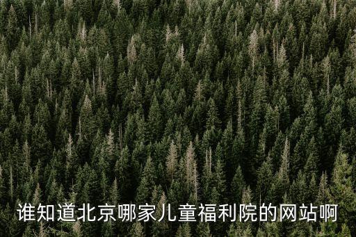 誰知道北京哪家兒童福利院的網(wǎng)站啊