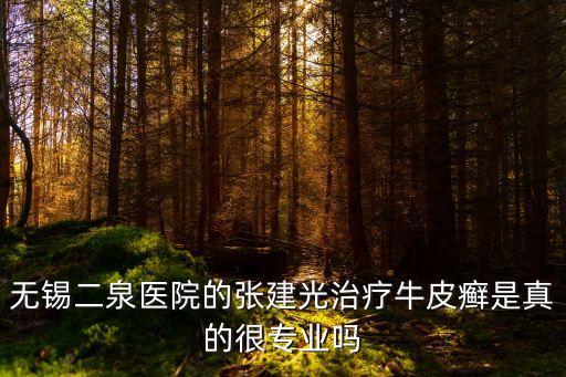 無錫二泉醫(yī)院的張建光治療牛皮癬是真的很專業(yè)嗎