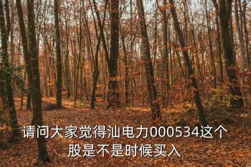汕電力，000534汕電力A明后兩天走勢怎樣