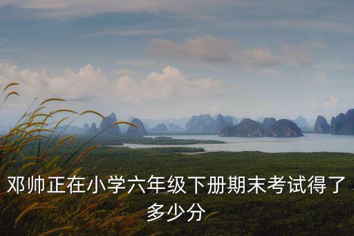 鄧帥正在小學(xué)六年級(jí)下冊(cè)期末考試得了多少分