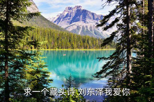 求一個藏頭詩 劉東澤我愛你
