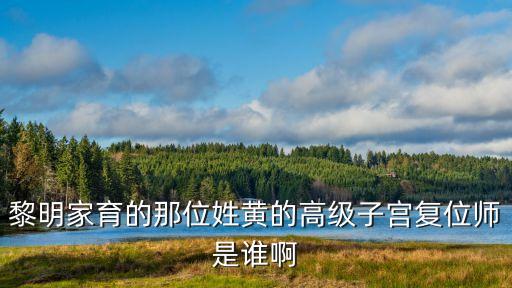 黎明家育的那位姓黃的高級(jí)子宮復(fù)位師是誰(shuí)啊