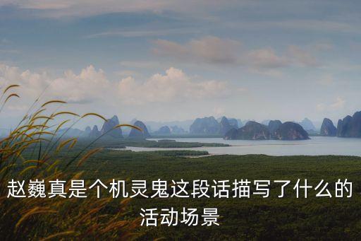 趙巍真是個(gè)機(jī)靈鬼這段話描寫了什么的活動(dòng)場景