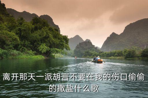 離開那天，離開那天我會笑嗎請告訴我