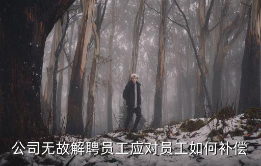 公司無故解聘員工應(yīng)對員工如何補(bǔ)償