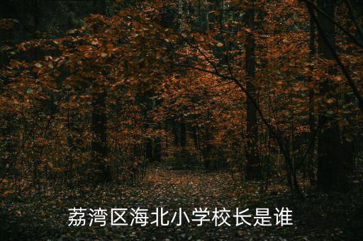 荔灣區(qū)海北小學(xué)校長是誰