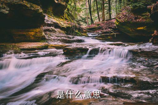 是指什么，是什么意思