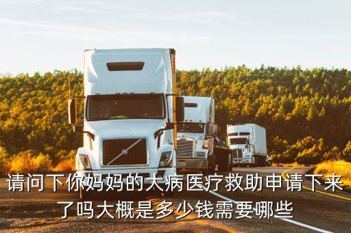 醫(yī)療救助能申請(qǐng)多少錢，請(qǐng)問(wèn)下你媽媽的大病醫(yī)療救助申請(qǐng)下來(lái)了嗎大概是多少錢需要哪些