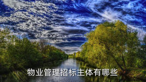 物業(yè)管理招標主體有哪些