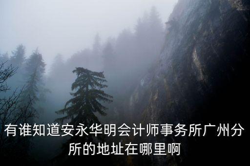 安永華明，安永華明會(huì)計(jì)師事務(wù)所工資怎么樣