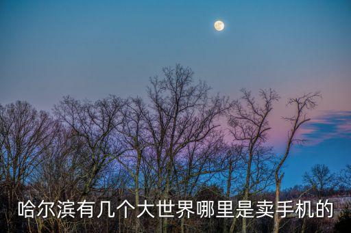 哈爾濱有幾個大世界哪里是賣手機(jī)的