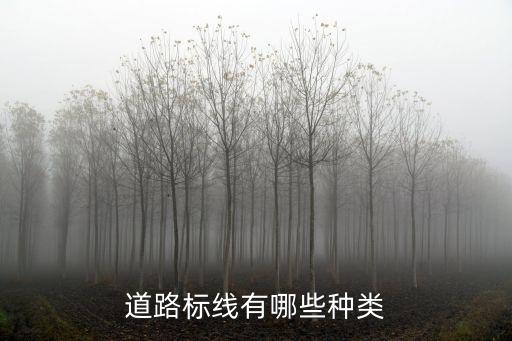 道路交通標(biāo)線分為，交通標(biāo)線有哪些